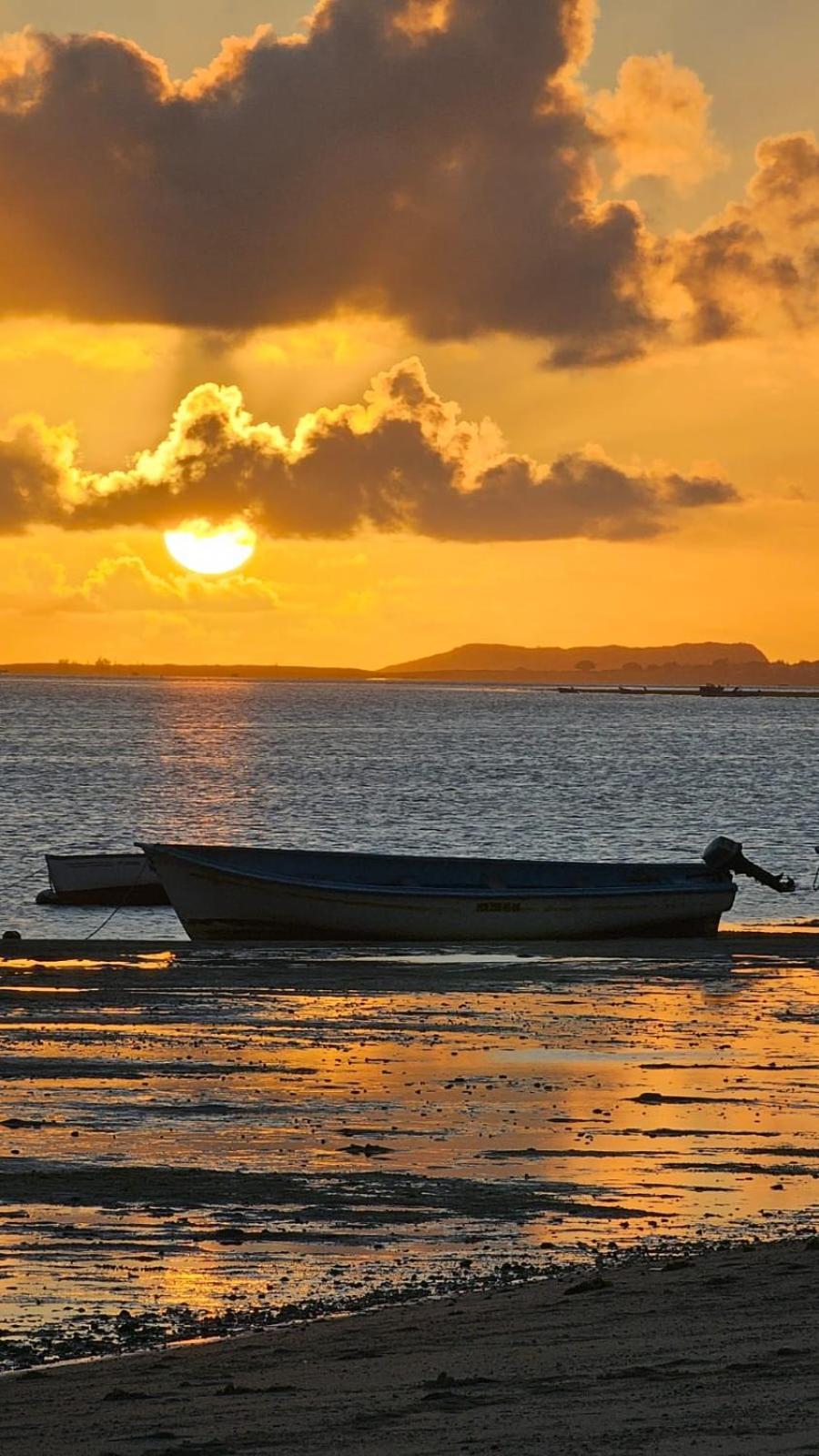 O Bercail Du Sud Chez Jeannette Daire Saint Gabriel Dış mekan fotoğraf